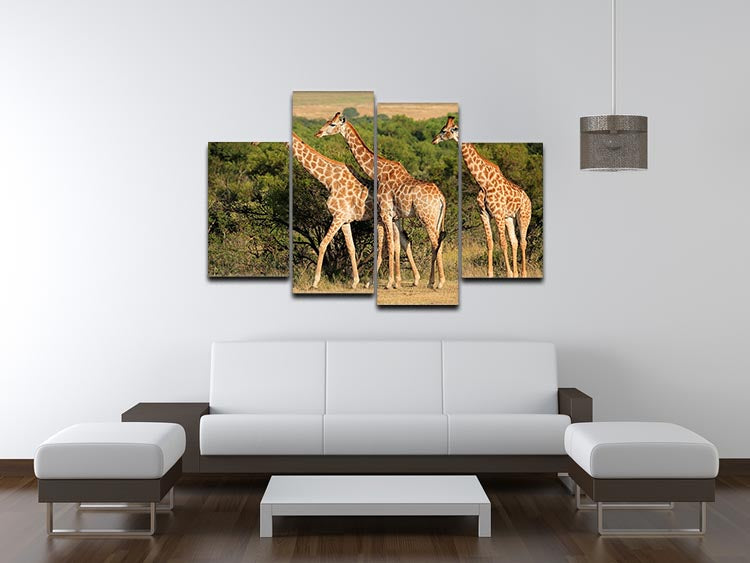 A beautiful 4-split canvas artwork featuring a giraffe in its natural habitat in South Africa, showcasing vibrant colors and intricate details.