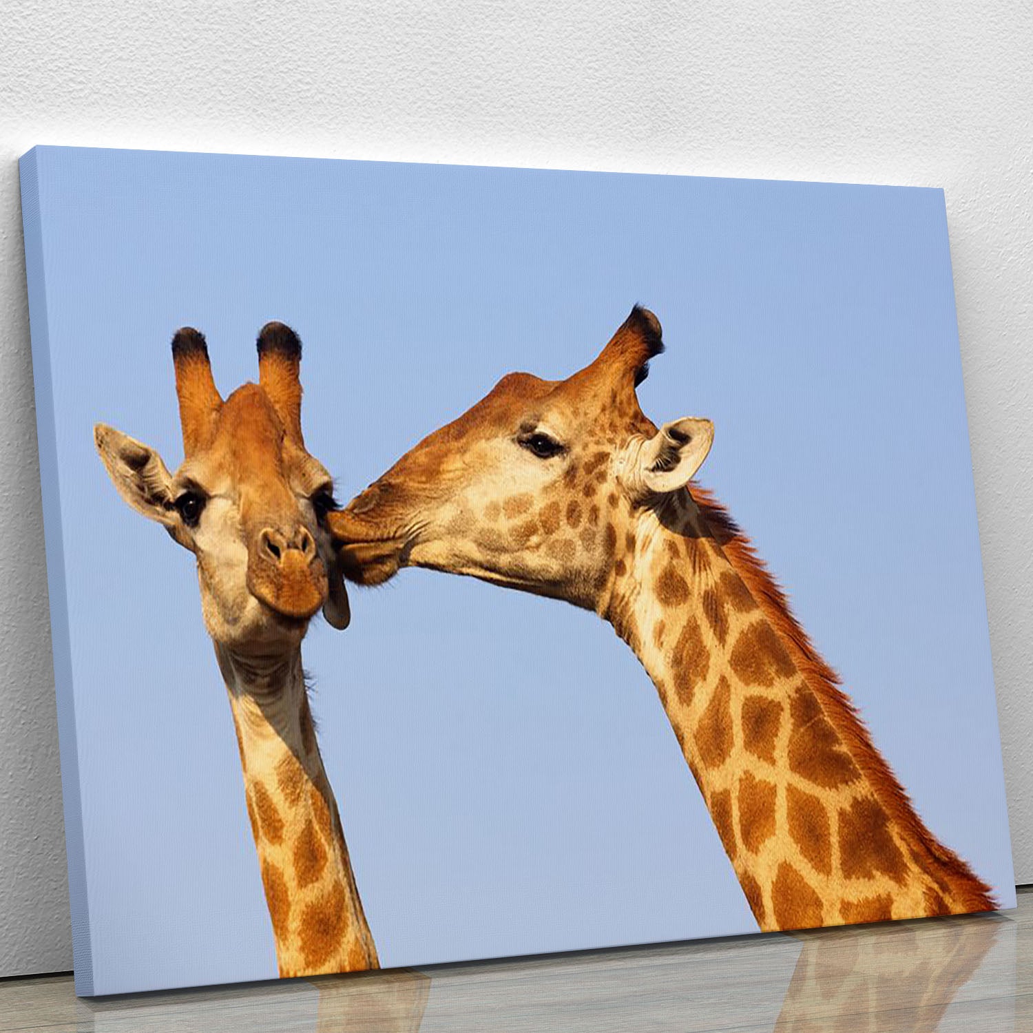 A beautiful canvas print featuring a pair of giraffes bonding in a serene natural setting, showcasing their elegance and grace.