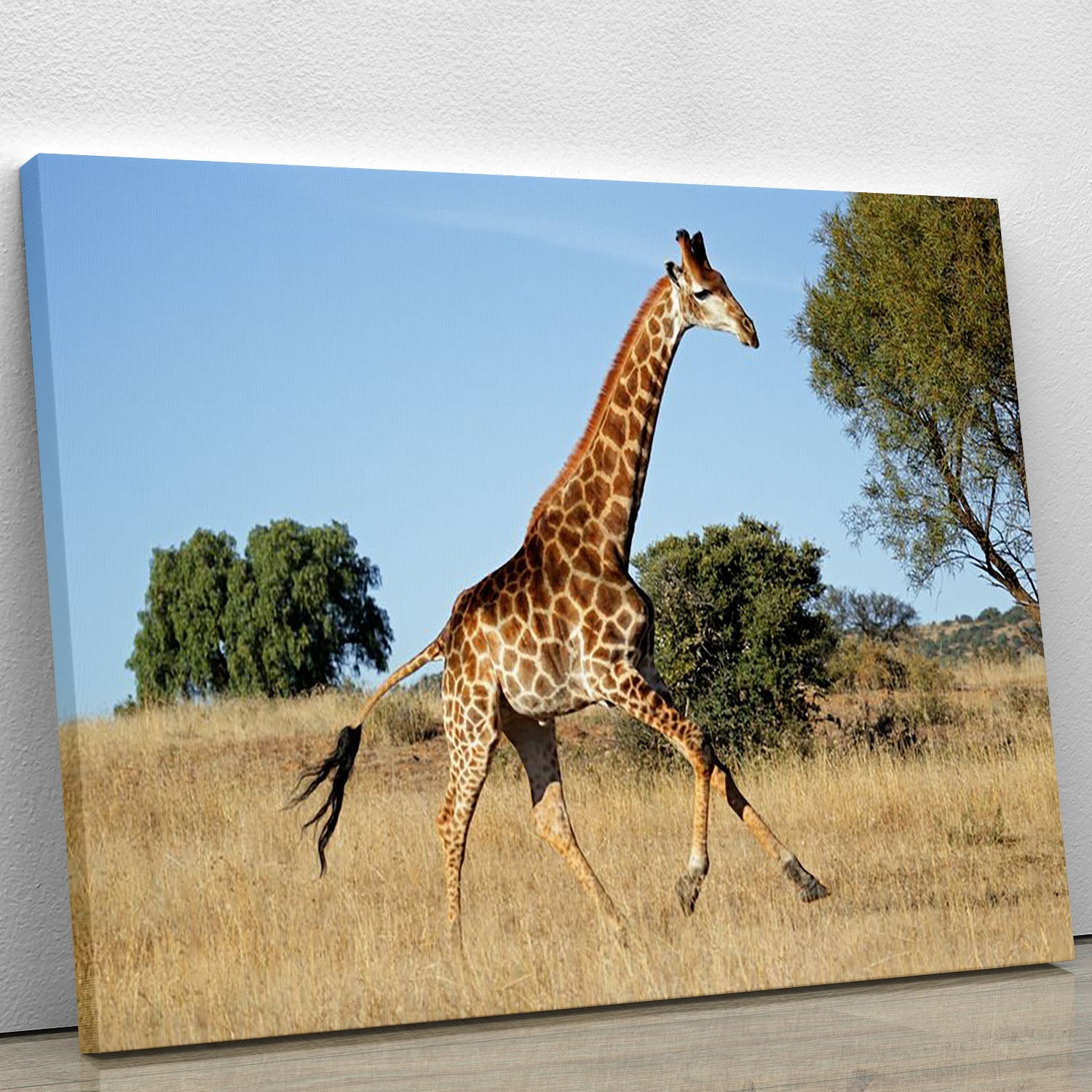 A beautiful canvas print featuring a giraffe running gracefully across the African plains, showcasing vibrant colors and intricate details.