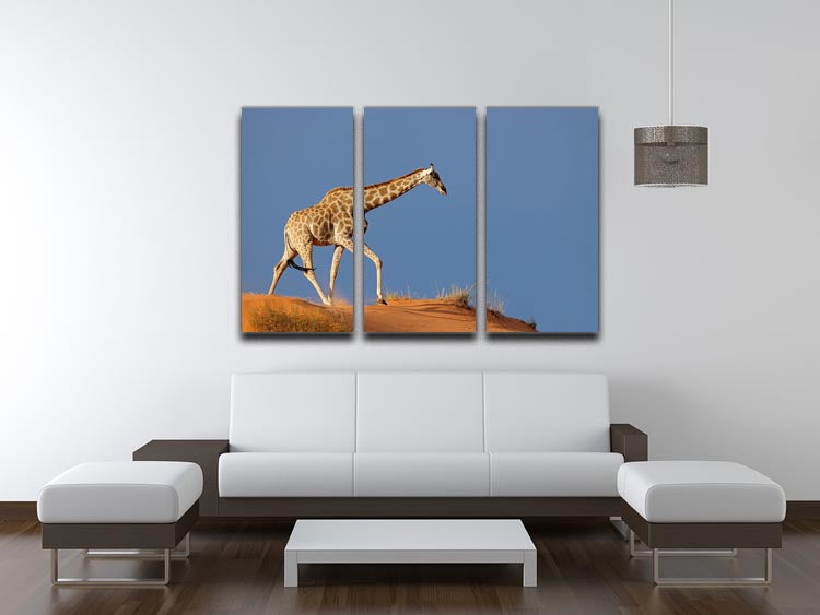 A beautiful 3-panel canvas art depicting a giraffe walking on a sand dune in the Kalahari desert, showcasing vibrant colors and intricate details.