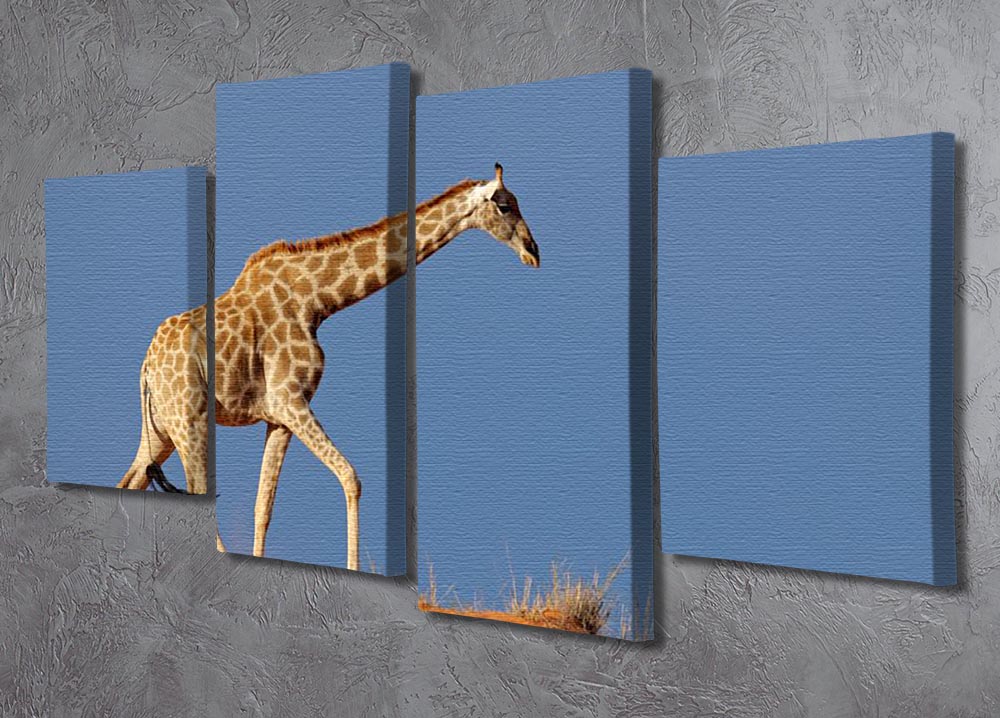 A beautiful 4-split canvas artwork depicting a giraffe walking on a sand dune in the Kalahari desert, showcasing vibrant colors and intricate details.