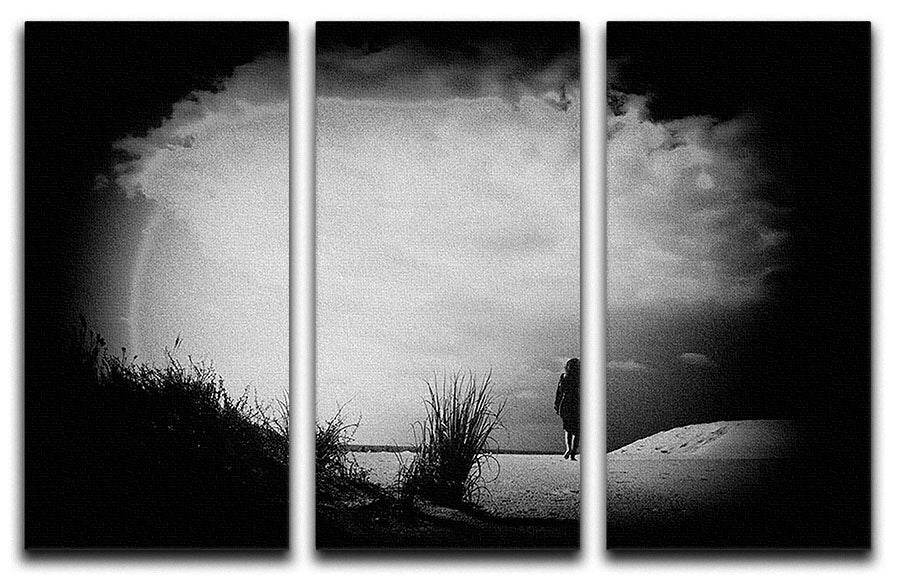 A beautiful 3-panel canvas print featuring a serene beach scene, perfect for home decor.