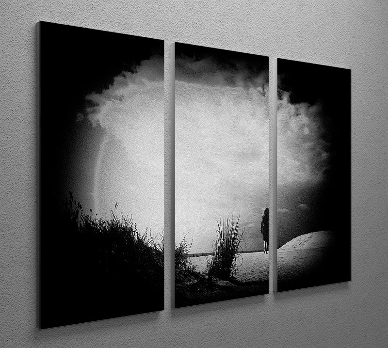 A beautiful 3-panel canvas print featuring a serene beach scene, perfect for home decor.