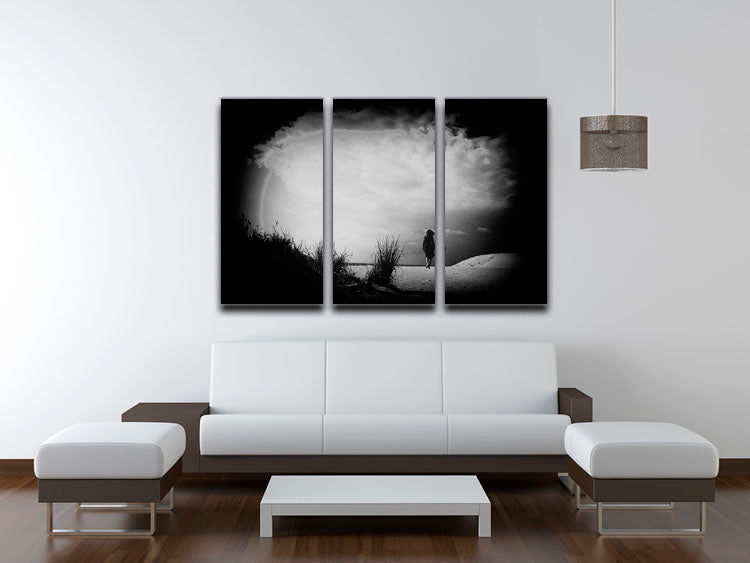 A beautiful 3-panel canvas print featuring a serene beach scene, perfect for home decor.