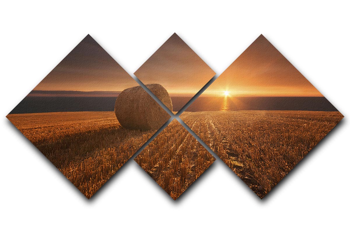Gold Harvest 4 Square Multi Panel Canvas artwork featuring four equal square sections with a luxurious gold design.