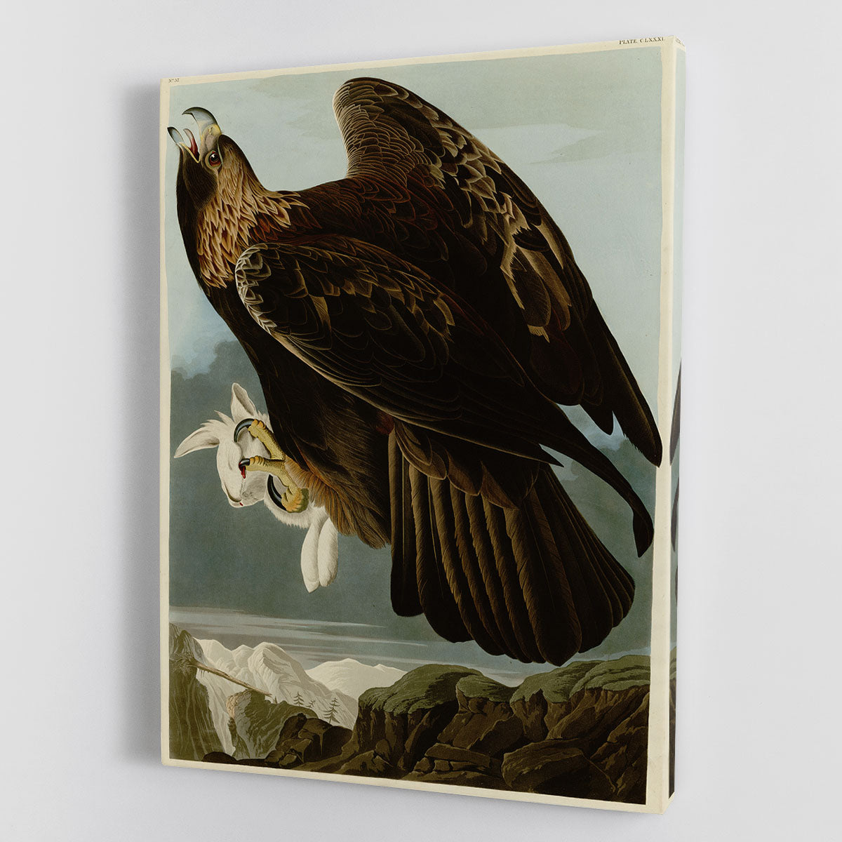 Golden Eagle canvas print showcasing a majestic eagle in flight, beautifully detailed and vibrant colors, perfect for home or office decor.
