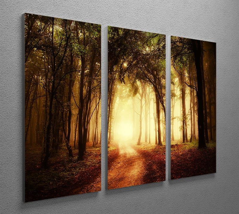 Golden Forest at Autumn 3 Split Panel Canvas Print showcasing vibrant autumn colors across three panels.