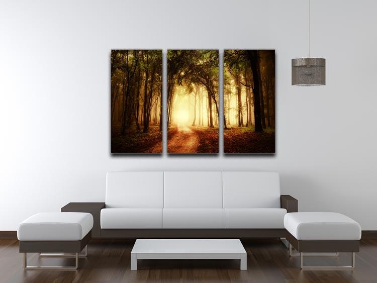Golden Forest at Autumn 3 Split Panel Canvas Print showcasing vibrant autumn colors across three panels.