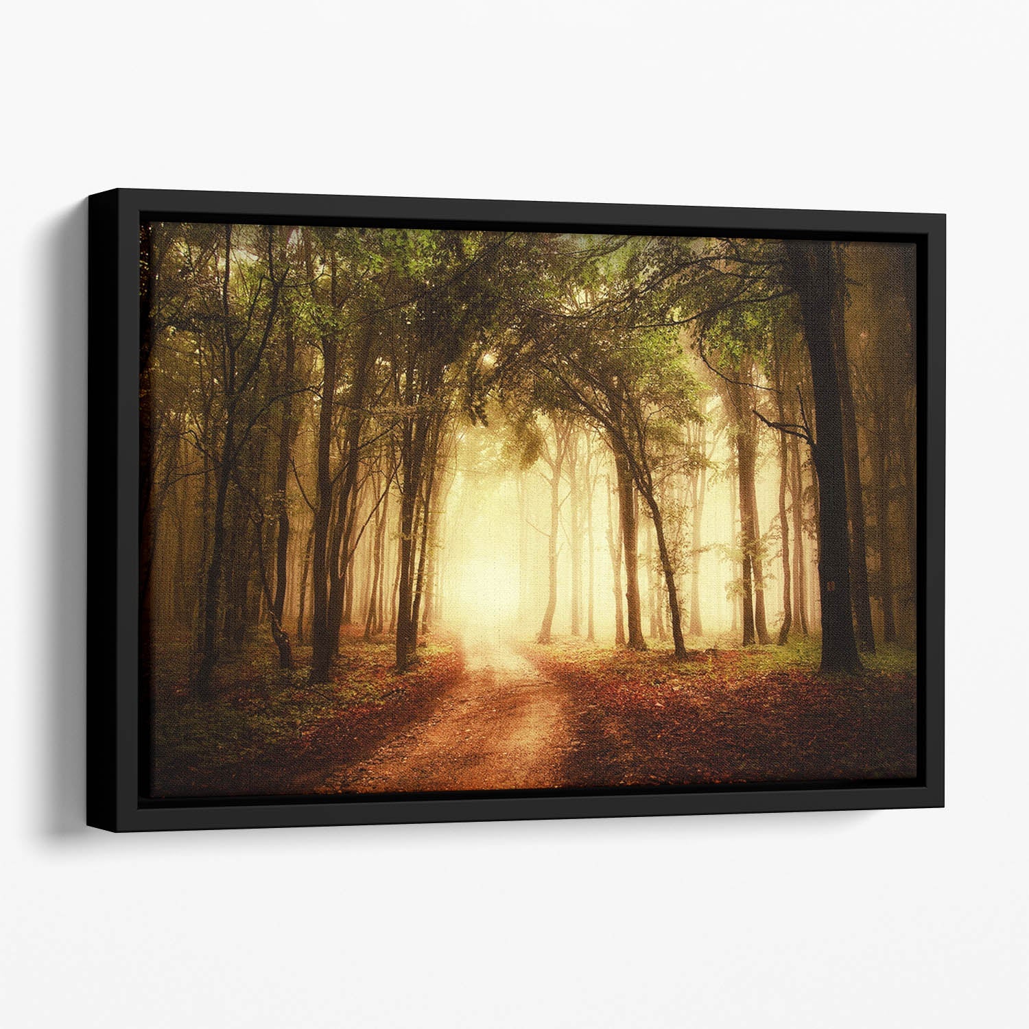 Golden Forest at Autumn Floating Framed Canvas showcasing vibrant autumn colors in a contemporary floating frame.