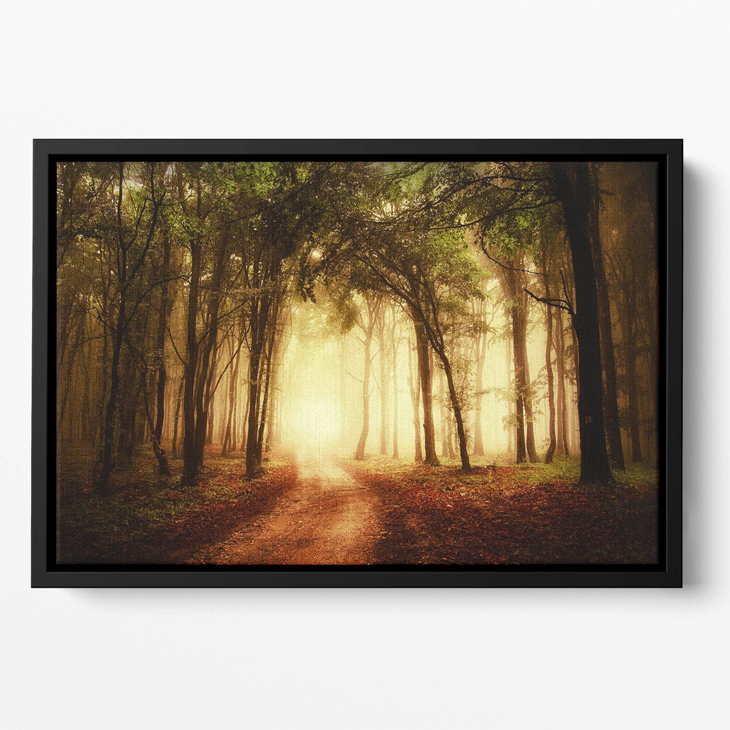 Golden Forest at Autumn Floating Framed Canvas showcasing vibrant autumn colors in a contemporary floating frame.