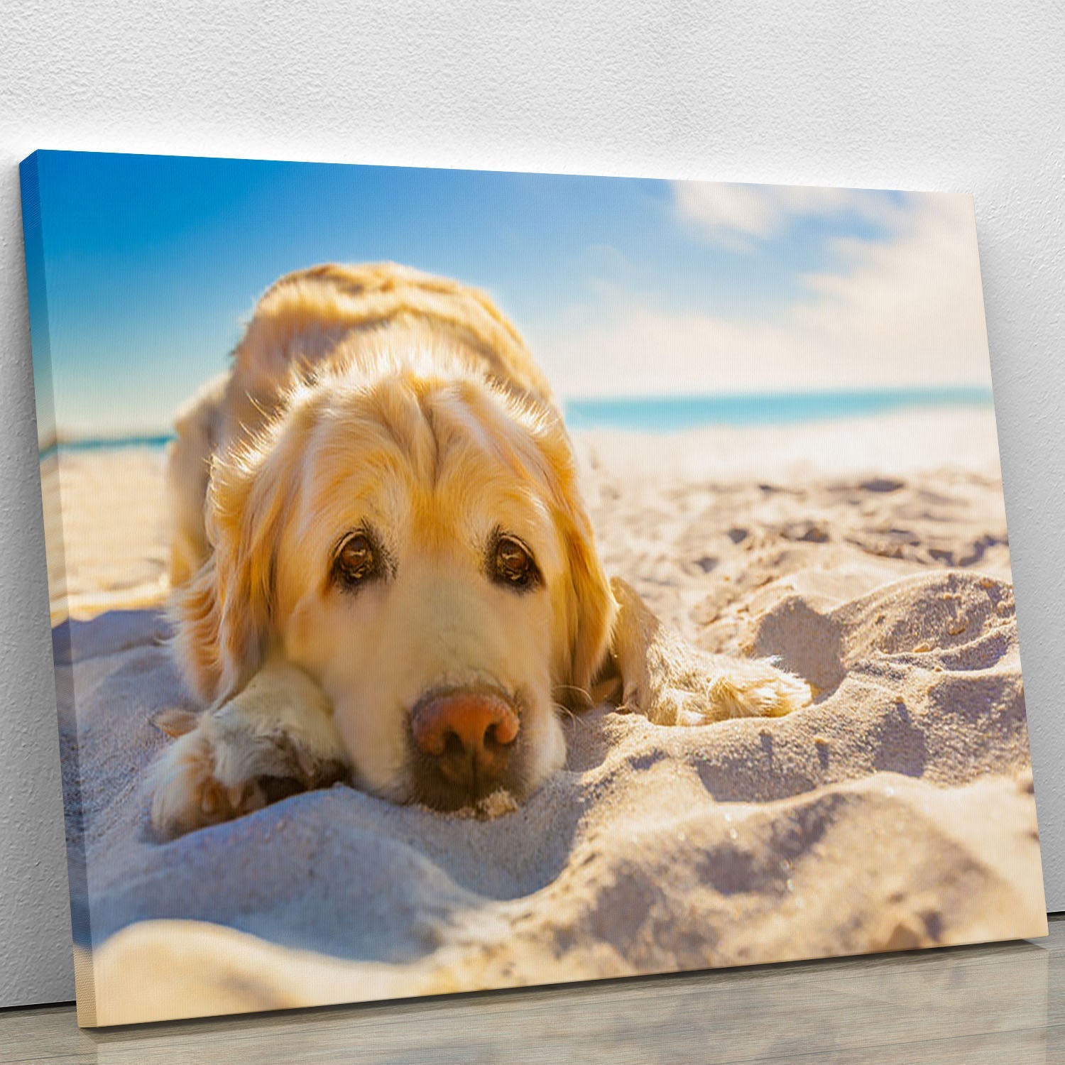 A beautiful canvas print featuring a Golden Retriever dog relaxing peacefully, showcasing its soft fur and serene expression.