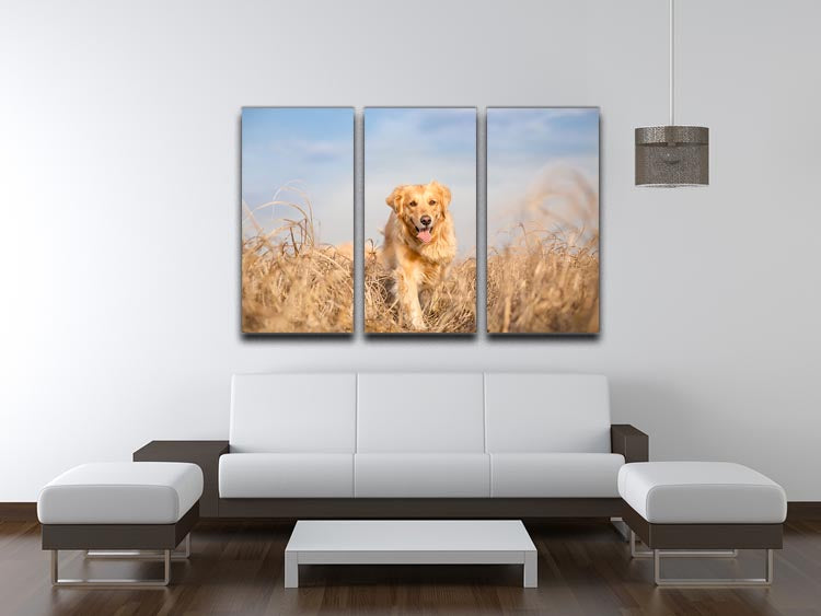 A beautiful 3-panel canvas print featuring a Golden Retriever dog running, showcasing vibrant colors and dynamic motion.
