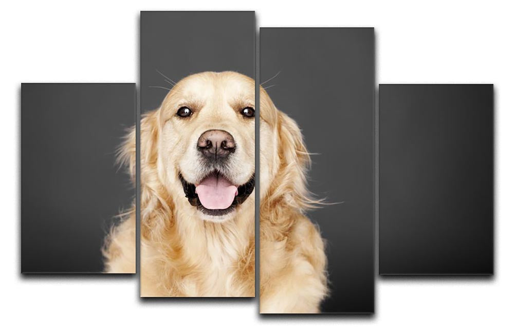 A beautiful Golden Retriever artwork displayed on a grey background, divided into four equal canvas panels, creating a dynamic and modern look.