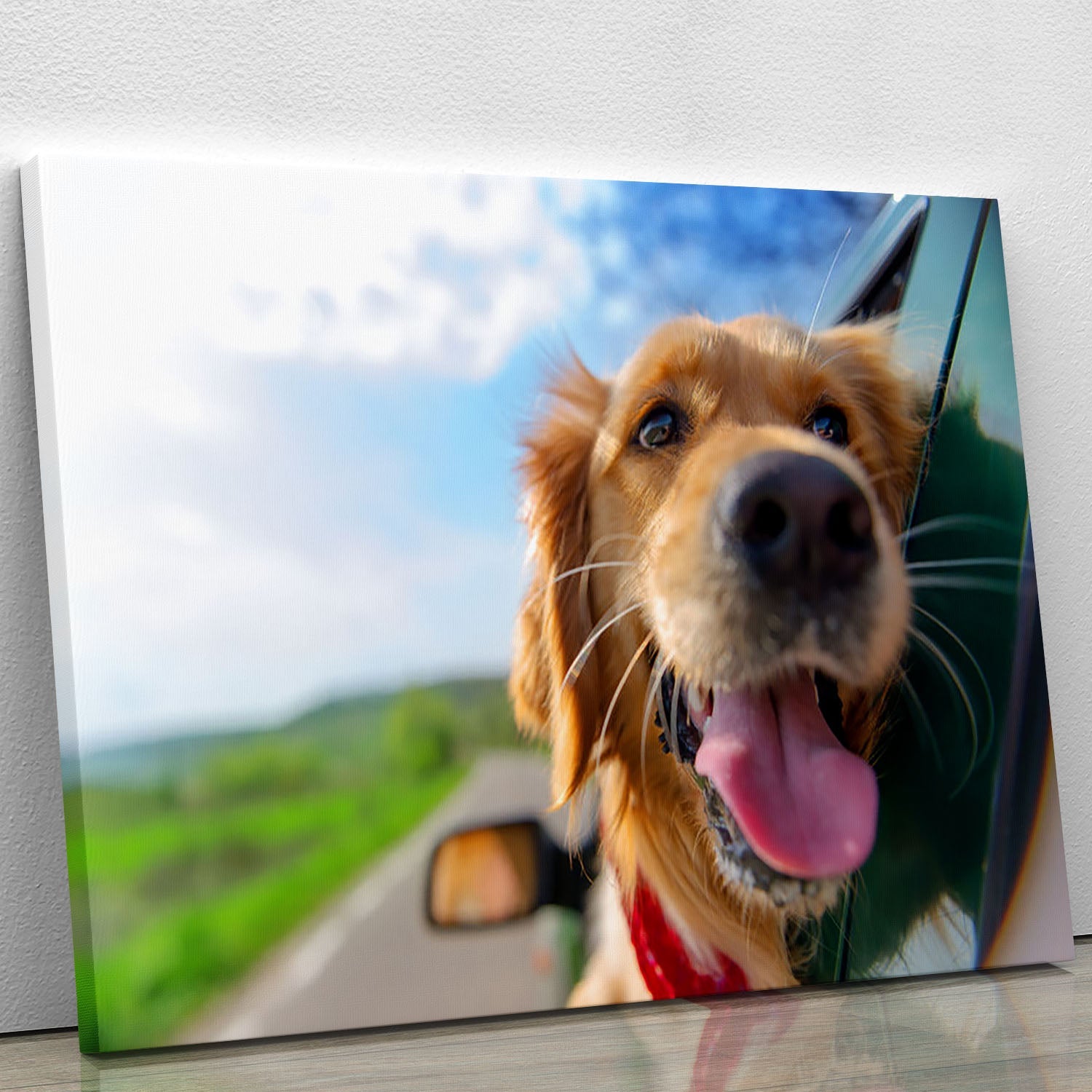 A beautiful canvas print of a Golden Retriever looking out of a car window, capturing a moment of joy and adventure.