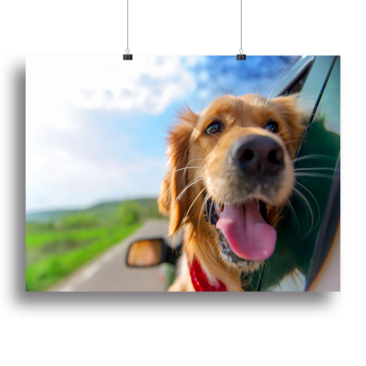 A beautiful canvas print of a Golden Retriever looking out of a car window, capturing a moment of joy and adventure.