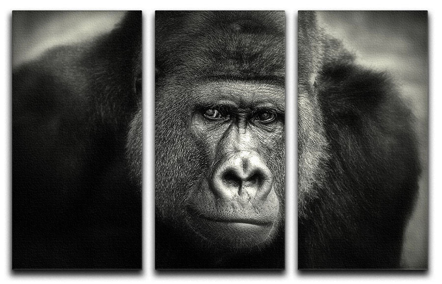 Gorilla 3 Split Panel Canvas Print showcasing three high-quality canvases with a captivating design, perfect for home or office decor.