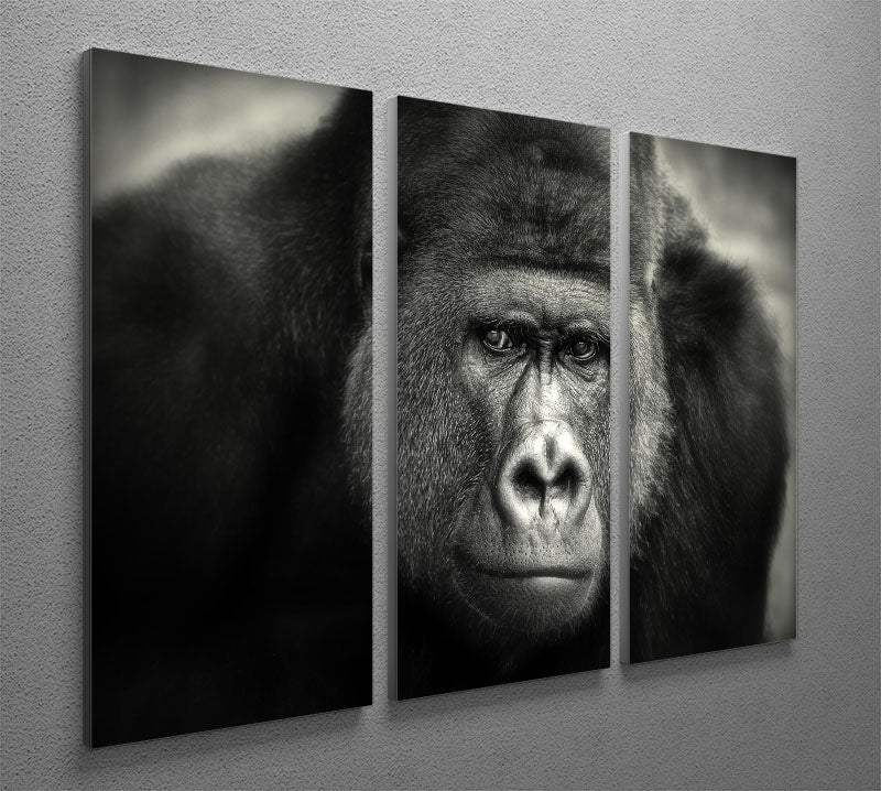 Gorilla 3 Split Panel Canvas Print showcasing three high-quality canvases with a captivating design, perfect for home or office decor.