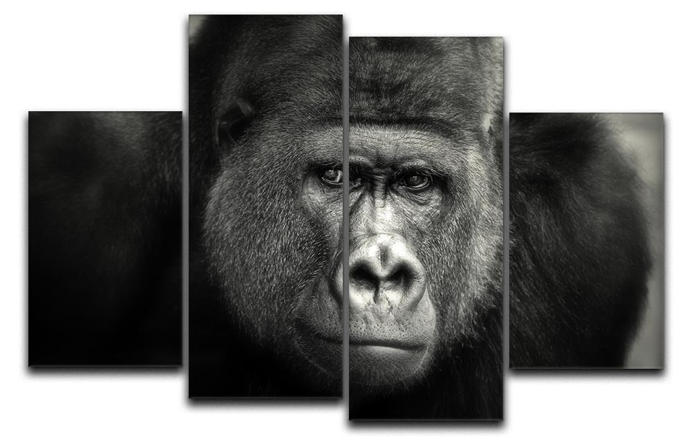 Gorilla 4 Split Panel Canvas artwork featuring four equal sections creating a cohesive design, perfect for modern decor.