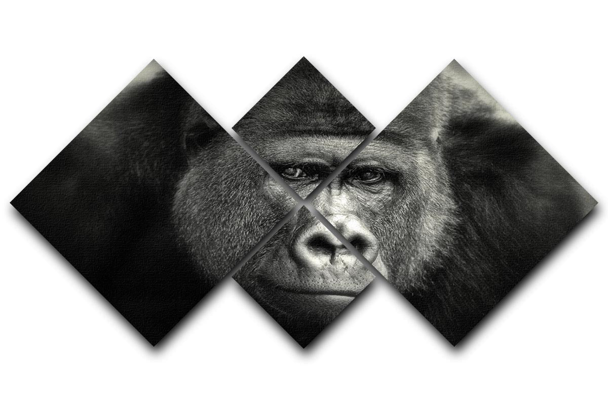 Gorilla 4 Square Multi Panel Canvas artwork featuring four equal square sections, showcasing vibrant colors and intricate designs.