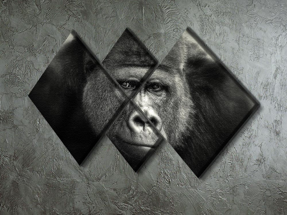 Gorilla 4 Square Multi Panel Canvas artwork featuring four equal square sections, showcasing vibrant colors and intricate designs.