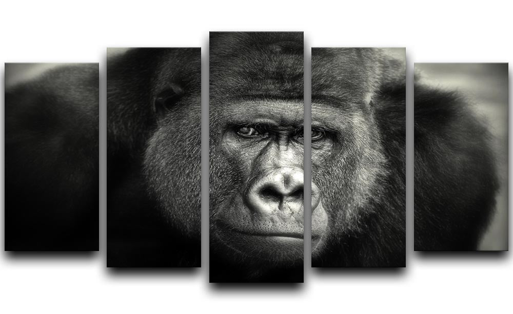 Gorilla 5 Split Panel Canvas artwork featuring five panels with a cohesive design, showcasing vibrant colors and dynamic arrangement.