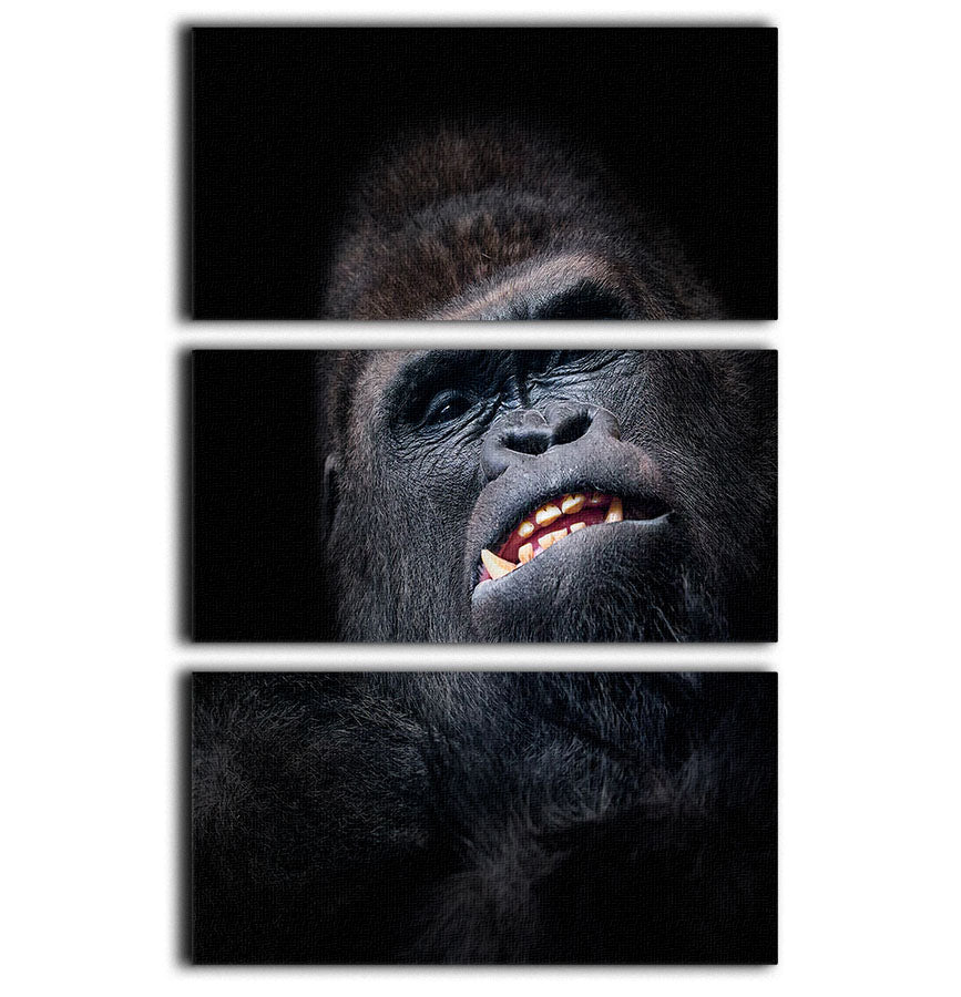 A stunning 3-panel canvas print featuring a gorilla face seen from above, showcasing intricate details and vibrant colors.