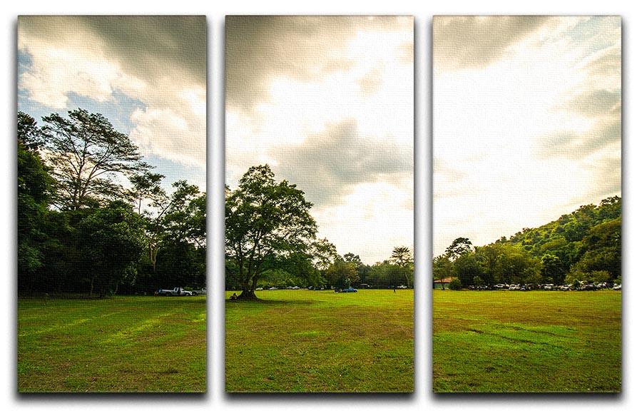 A beautiful 3-panel canvas print featuring grass and a big tree in a serene forest setting, perfect for home decor.