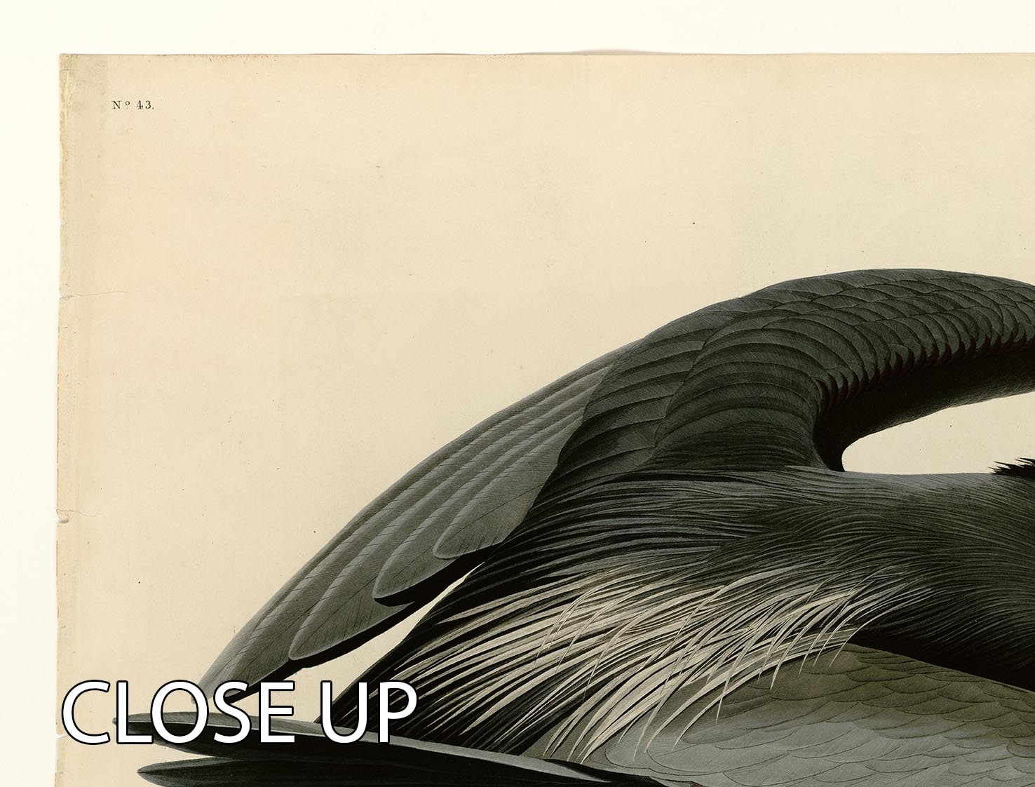 A stunning 3-panel canvas print featuring a Great Blue Heron, showcasing vibrant colors and intricate details, perfect for home decor.