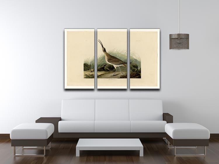 Great Esquimaux Curlew 3-panel canvas print showcasing vibrant colors and intricate details, perfect for home decor.