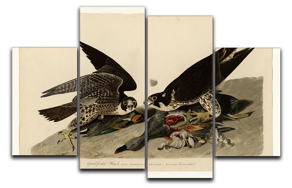 Great Footed Hawk artwork displayed on a 4-split canvas, showcasing vibrant colors and intricate details.