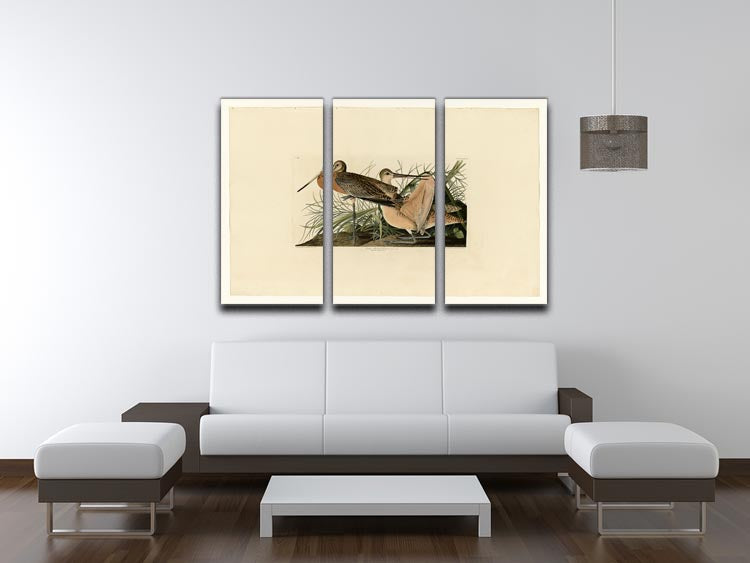 A beautiful 3-panel canvas print featuring the Great Marbled Godwit, showcasing its elegant design and vibrant colors.