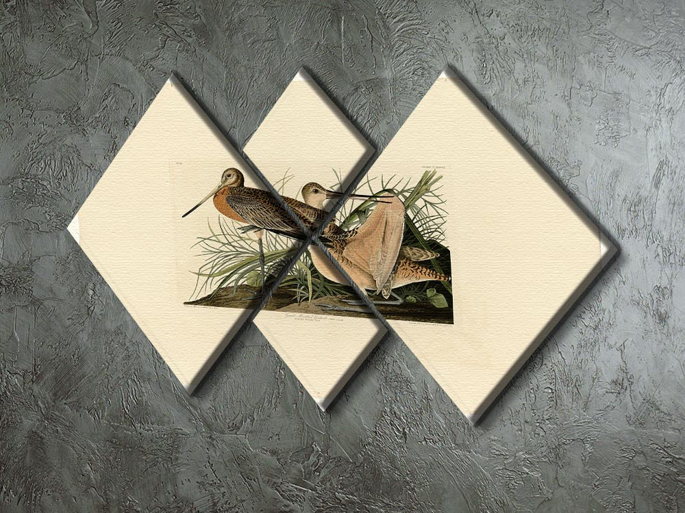 A beautiful 4-square multi-panel canvas featuring the Great Marbled Godwit, showcasing its elegant form and vibrant colors.