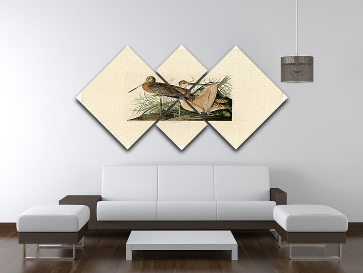 A beautiful 4-square multi-panel canvas featuring the Great Marbled Godwit, showcasing its elegant form and vibrant colors.