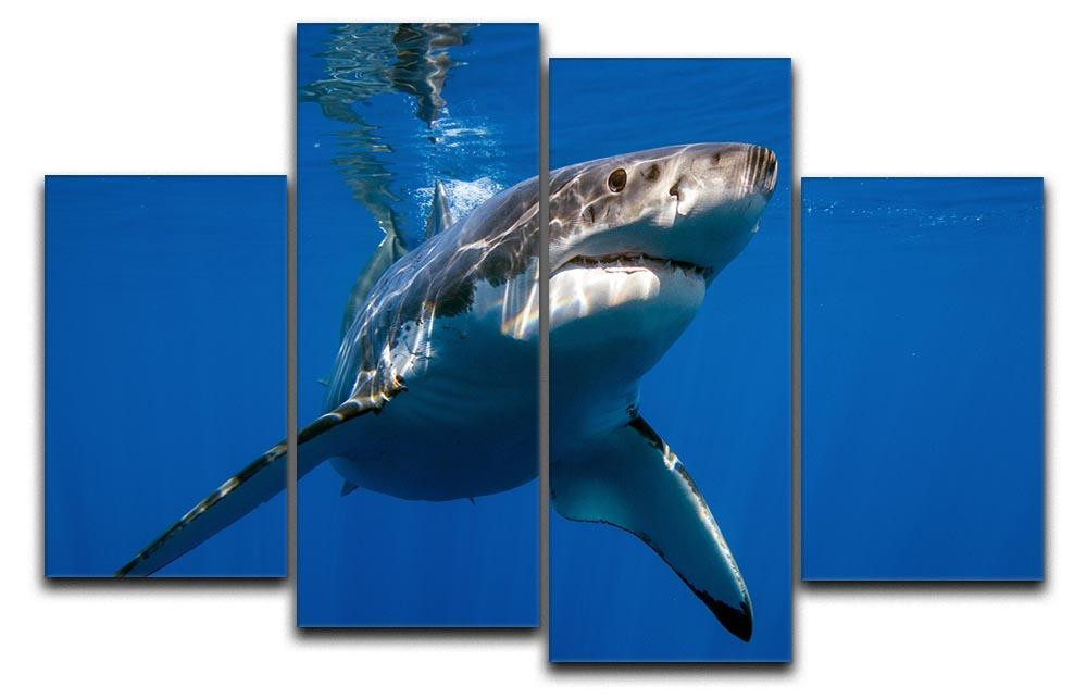 Great White 4 Split Panel Canvas artwork featuring a stunning multi-dimensional design divided into four equal sections.