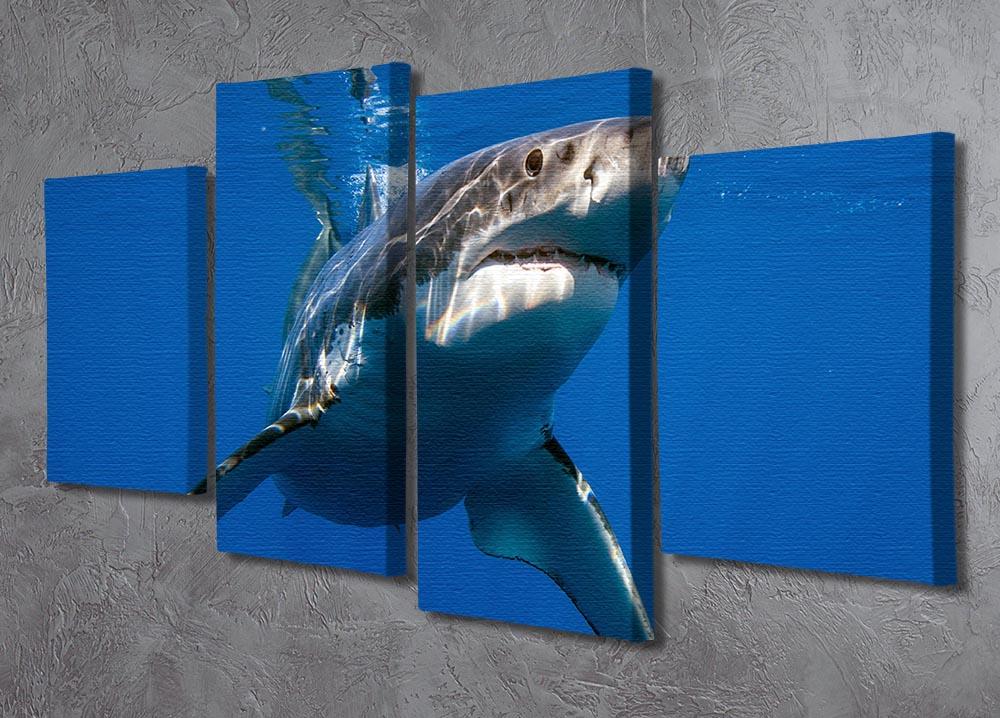 Great White 4 Split Panel Canvas artwork featuring a stunning multi-dimensional design divided into four equal sections.