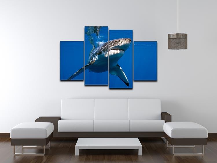 Great White 4 Split Panel Canvas artwork featuring a stunning multi-dimensional design divided into four equal sections.