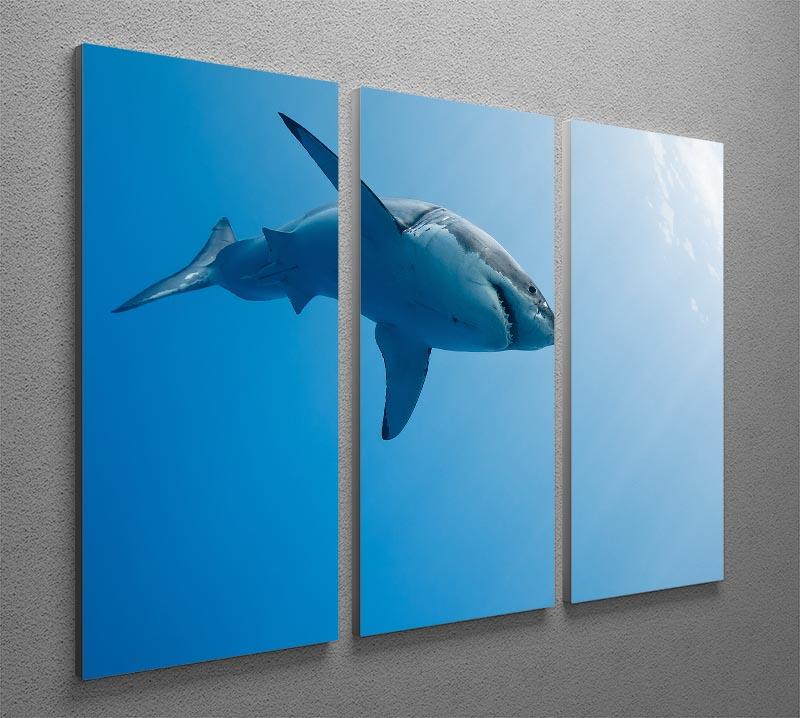 A stunning 3-panel canvas print featuring a Great White Shark in Guadalupe Island, showcasing vibrant colors and intricate details.