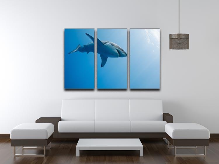 A stunning 3-panel canvas print featuring a Great White Shark in Guadalupe Island, showcasing vibrant colors and intricate details.