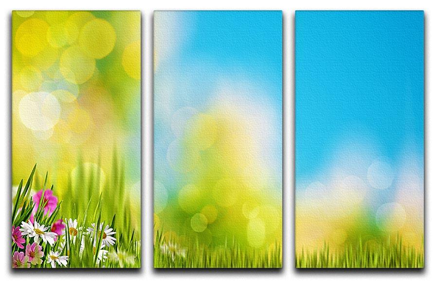 A beautiful 3-panel canvas print featuring vibrant green foliage illuminated by bright summer sunlight, perfect for home decor.