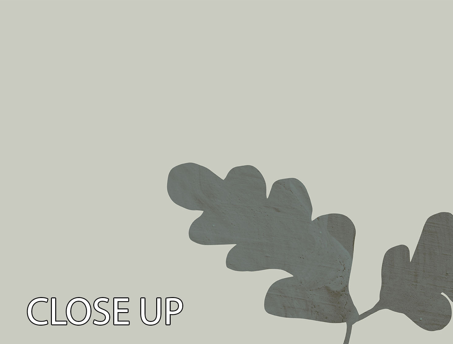 A beautiful 3-panel canvas print featuring a green oak plant, showcasing intricate details and vibrant colors, perfect for home decor.