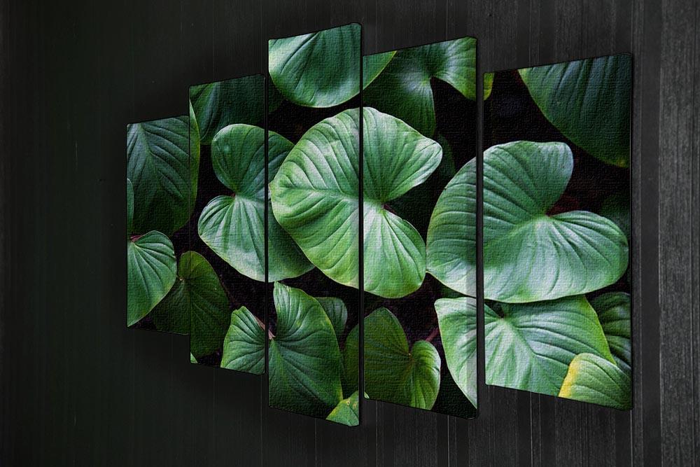 A vibrant green plant artwork displayed on a 5-split canvas, showcasing lush foliage across five panels.