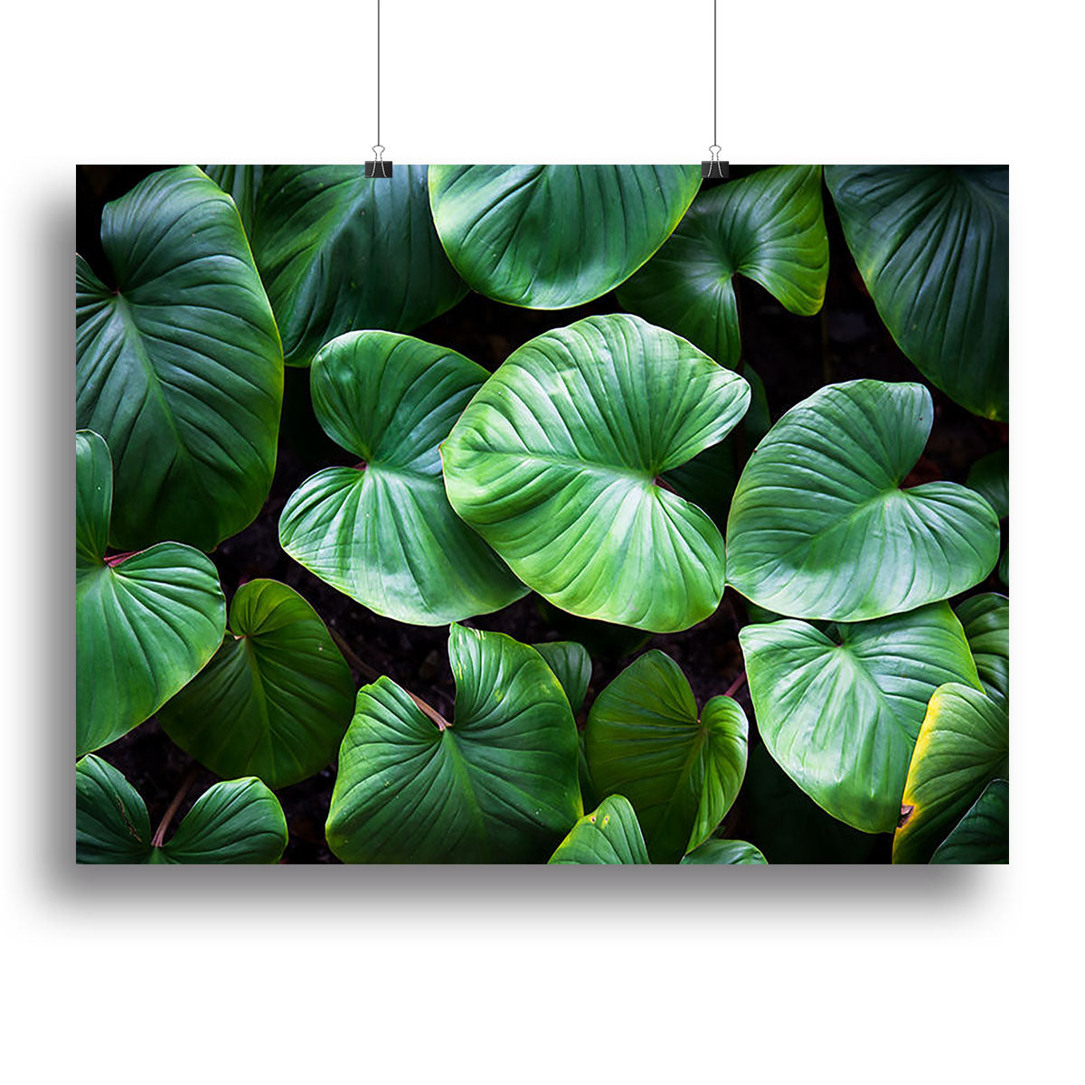 A vibrant green plant canvas print showcasing detailed foliage, perfect for home or office decor.