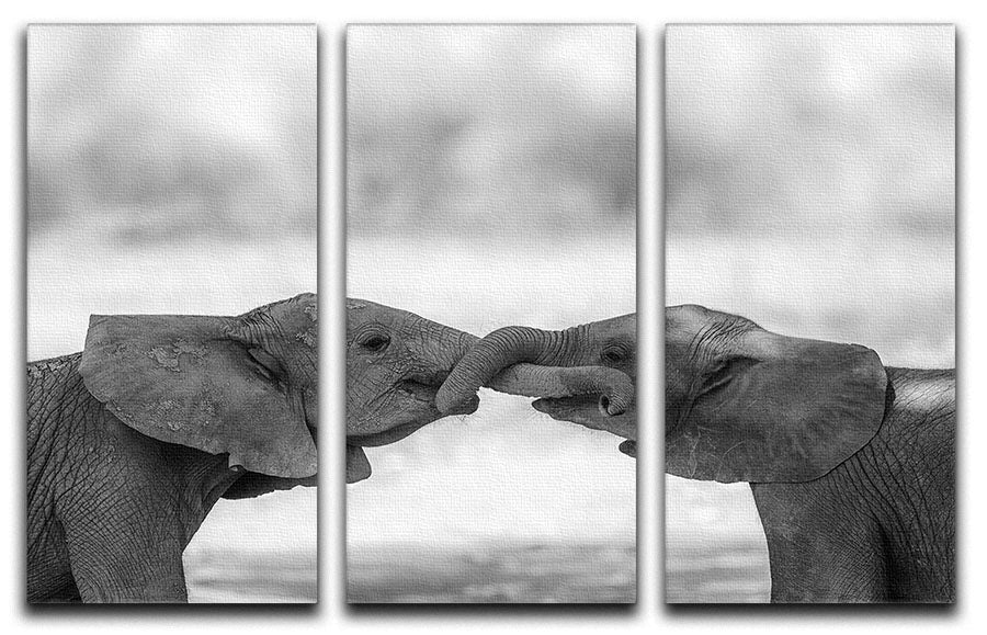 A stunning 3-panel canvas print featuring vibrant artwork, perfect for enhancing home decor.