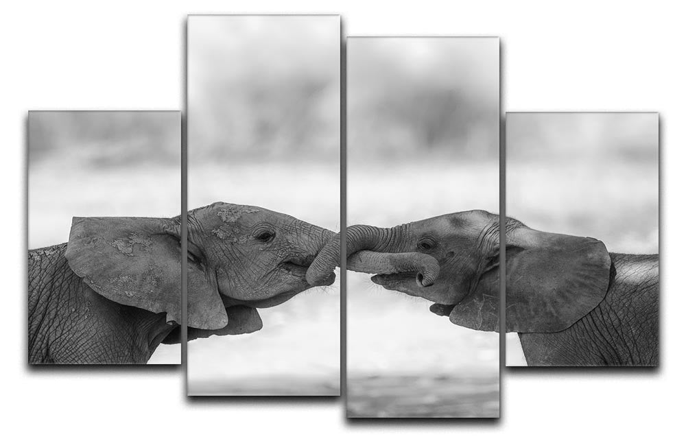 A vibrant 4-split panel canvas artwork showcasing a cohesive design, perfect for home or office decor.