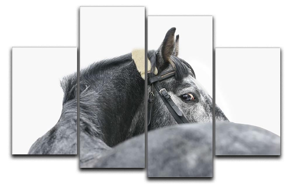 A beautiful grey horse depicted on a 4 split panel canvas, showcasing elegance and strength in a dynamic arrangement.