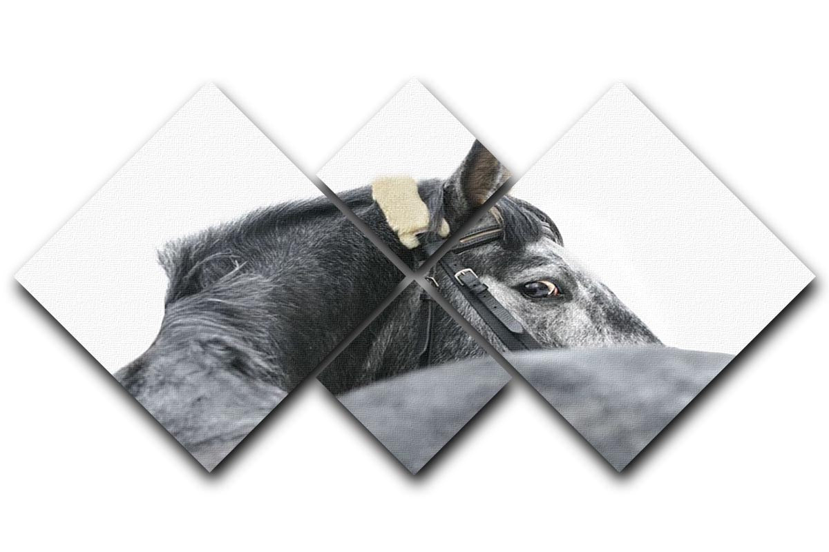 A beautiful grey horse artwork displayed on a 4-square multi-panel canvas, showcasing four equal sections that create a cohesive image.