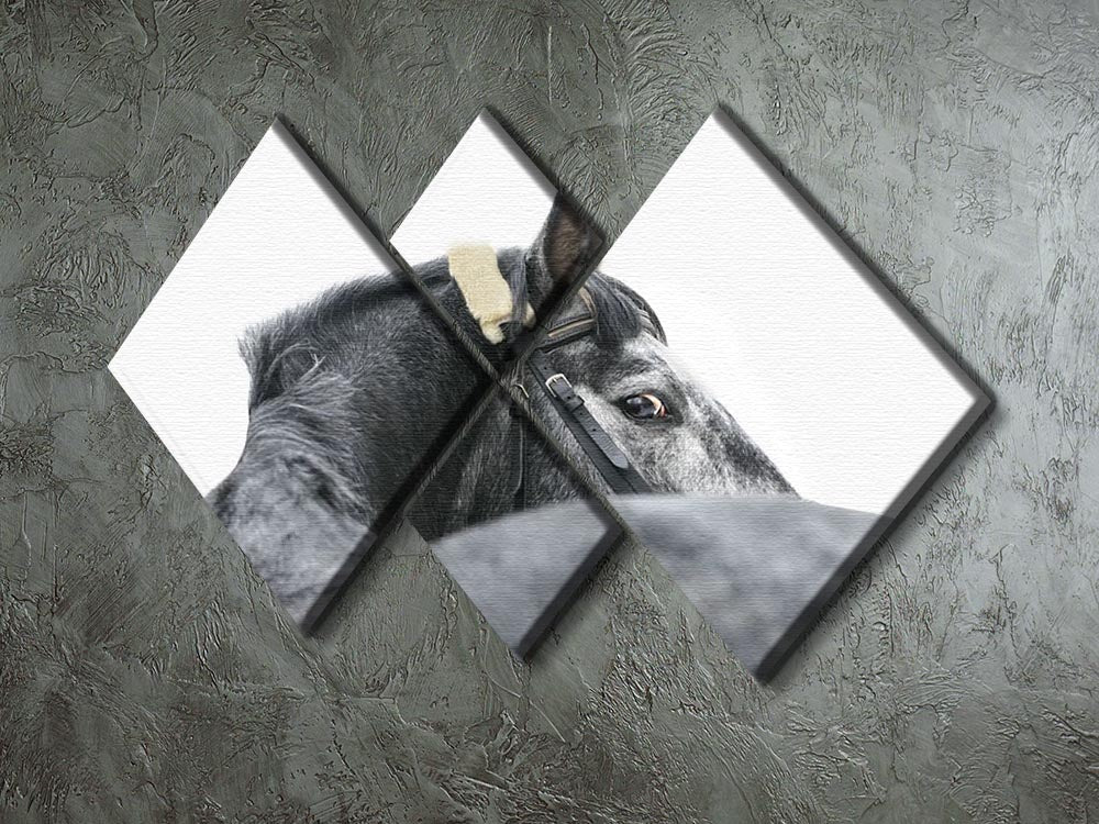 A beautiful grey horse artwork displayed on a 4-square multi-panel canvas, showcasing four equal sections that create a cohesive image.