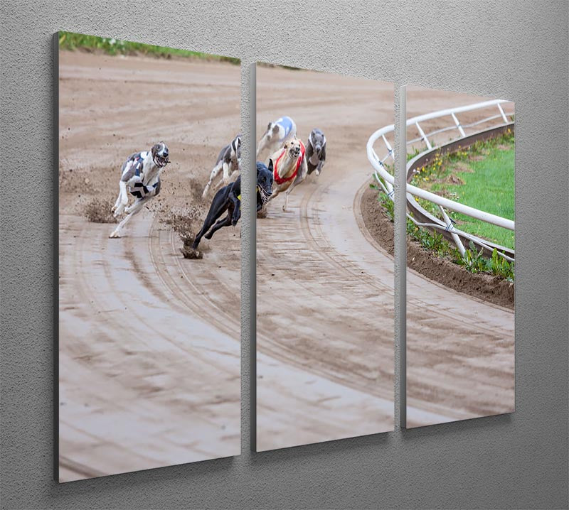 A stunning 3-panel canvas print featuring racing Greyhound dogs, showcasing dynamic motion and vibrant colors.