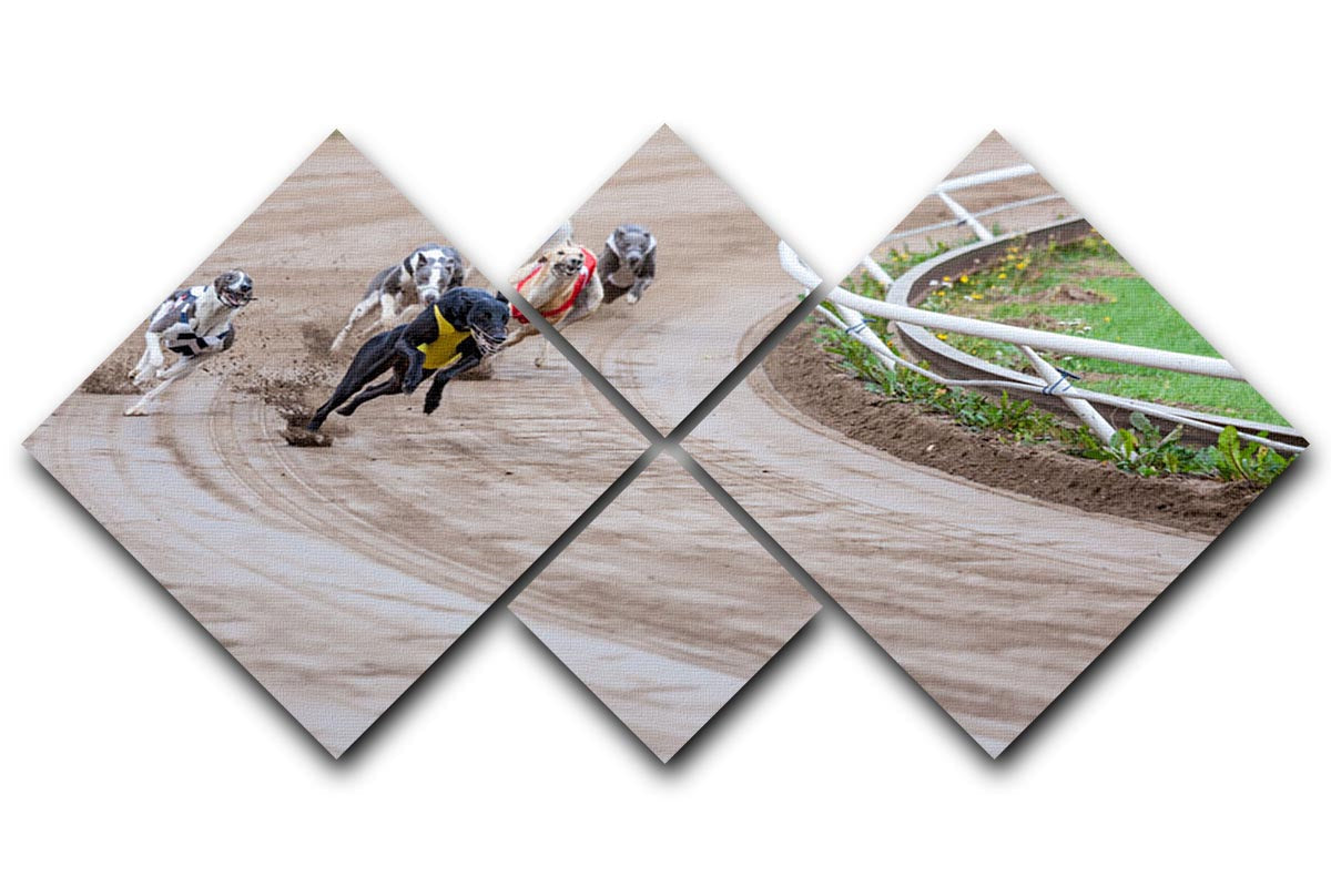 A vibrant multi-panel canvas artwork featuring racing greyhounds in dynamic motion, divided into four equal square sections.