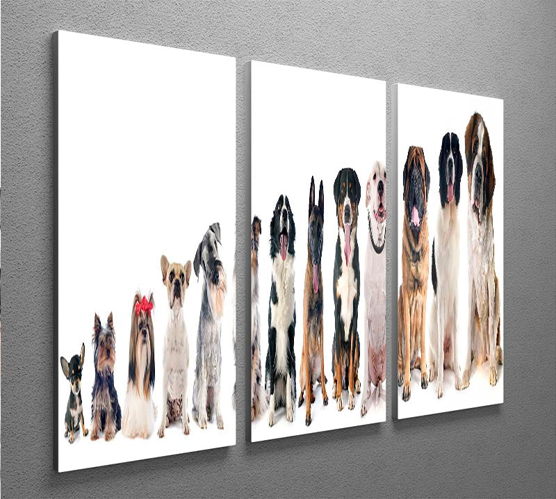 A beautiful 3-panel canvas print featuring a group of dogs against a white background, perfect for home decor.